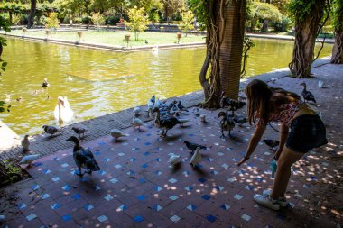 Seville, Spain - July 14, 2022 Maria Luisa Park is the first urban park and one of the green lungs of Seville, emblematic city and capital of the Andalusia region, in southern Spain