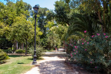 Seville, İspanya - 14 Temmuz 2022 Maria Luisa Parkı, İspanya 'nın güneyindeki Endülüs Bölgesi' nin başkenti ve sembolik şehri Sevilla 'nın ilk yeşil akciğerlerinden biridir.