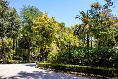 Seville, Spain - July 14, 2022 Maria Luisa Park is the first urban park and one of the green lungs of Seville, emblematic city and capital of the Andalusia region, in southern Spain