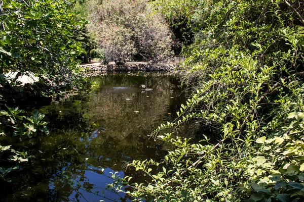 Sevilha Espanha Julho 2022 Parque Maria Luisa Primeiro Parque Urbano — Fotografia de Stock