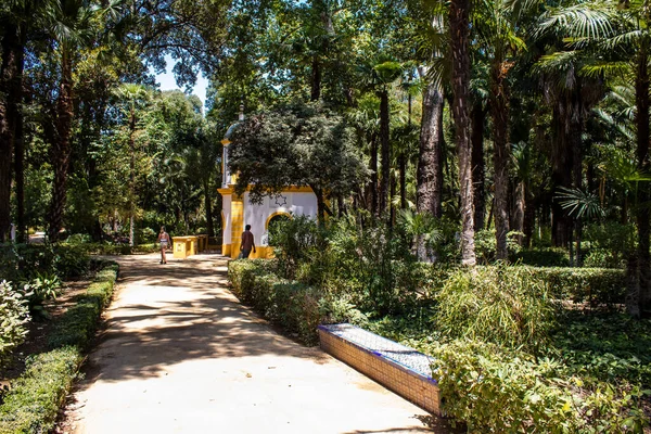 Sevilla Spanien Juli 2022 Der Maria Luisa Park Ist Der — Stockfoto