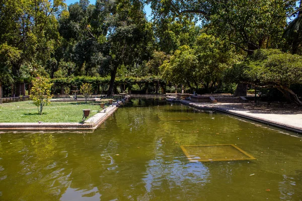 Sevilla España Julio 2022 Parque María Luisa Primer Parque Urbano — Foto de Stock