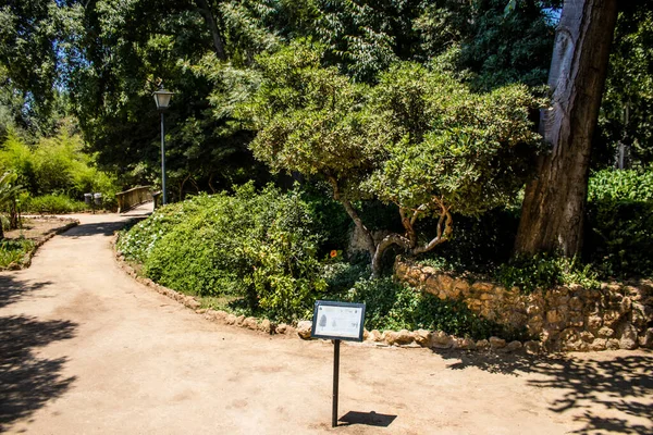 Seville Spain July 2022 Maria Luisa Park First Urban Park — Φωτογραφία Αρχείου