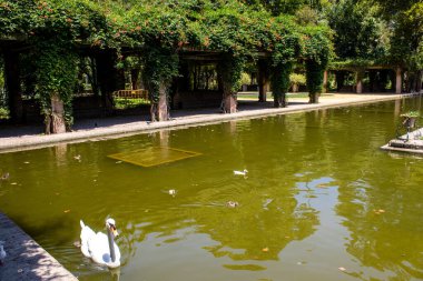 Seville, İspanya - 14 Temmuz 2022 Maria Luisa Parkı, İspanya 'nın güneyindeki Endülüs Bölgesi' nin başkenti ve sembolik şehri Sevilla 'nın ilk yeşil akciğerlerinden biridir.