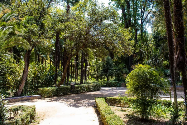 Seville Spain July 2022 Maria Luisa Park First Urban Park — Fotografia de Stock