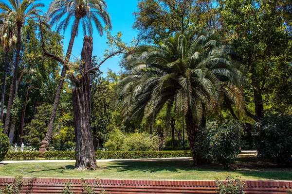 Seville Spain July 2022 Maria Luisa Park First Urban Park — Stock Fotó