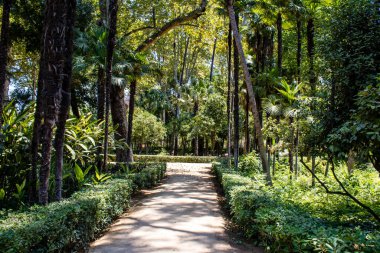 Seville, Spain - July 14, 2022 Maria Luisa Park is the first urban park and one of the green lungs of Seville, emblematic city and capital of the Andalusia region, in southern Spain