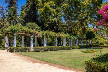 Seville, Spain - July 14, 2022 Maria Luisa Park is the first urban park and one of the green lungs of Seville, emblematic city and capital of the Andalusia region, in southern Spain
