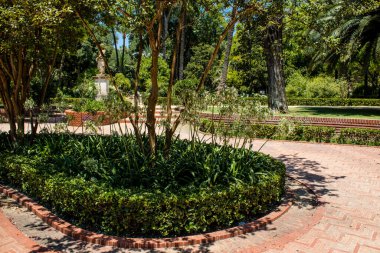 Seville, İspanya - 14 Temmuz 2022 Maria Luisa Parkı, İspanya 'nın güneyindeki Endülüs Bölgesi' nin başkenti ve sembolik şehri Sevilla 'nın ilk yeşil akciğerlerinden biridir.