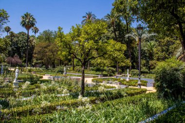 Seville, İspanya - 14 Temmuz 2022 Maria Luisa Parkı, İspanya 'nın güneyindeki Endülüs Bölgesi' nin başkenti ve sembolik şehri Sevilla 'nın ilk yeşil akciğerlerinden biridir.