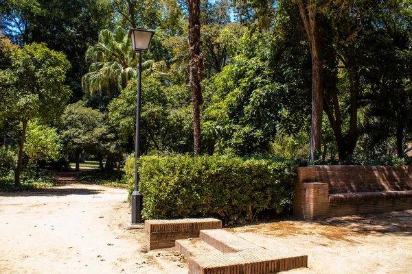Siviglia Spagna Luglio 2022 Maria Luisa Park Primo Parco Urbano — Foto Stock