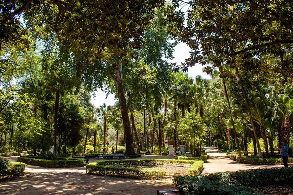 Sevilla España Julio 2022 Parque María Luisa Primer Parque Urbano — Foto de Stock