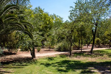 Seville, İspanya - 14 Temmuz 2022 Maria Luisa Parkı, İspanya 'nın güneyindeki Endülüs Bölgesi' nin başkenti ve sembolik şehri Sevilla 'nın ilk yeşil akciğerlerinden biridir.