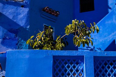 Chefchaouen, Morocco - August 19, 2022 Chefchaouen is a city located in the Rif mountains, in the north Morocco. Renowned for the remarkable buildings of varying shades of faded blue in its old town