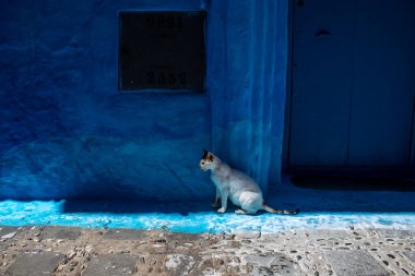 Chefchaouen, Morocco - August 19, 2022 Chefchaouen is a city located in the Rif mountains, in the north Morocco. Renowned for the remarkable buildings of varying shades of faded blue in its old town