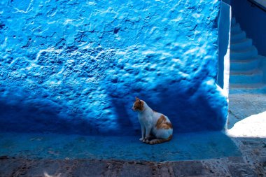 Chefchaouen, Morocco - August 19, 2022 Chefchaouen is a city located in the Rif mountains, in the north Morocco. Renowned for the remarkable buildings of varying shades of faded blue in its old town