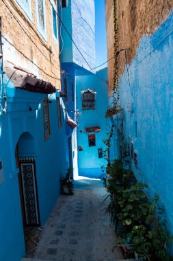 Chefchaouen, Morocco - August 19, 2022 Chefchaouen is a city located in the Rif mountains, in the north Morocco. Renowned for the remarkable buildings of varying shades of faded blue in its old town