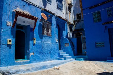 Chefchaouen, Morocco - August 19, 2022 Chefchaouen is a city located in the Rif mountains, in the north Morocco. Renowned for the remarkable buildings of varying shades of faded blue in its old town