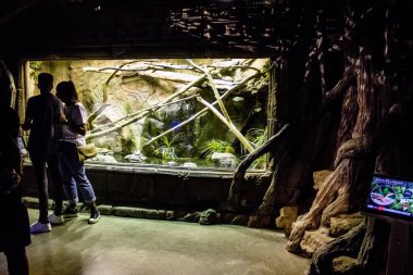 Seville, Spain - August 13, 2022 Modern aquarium of Seville with a wide variety of marine species, touch tanks and a bull shark tunnel, Aquatic life from all the Oceans of the world are found there