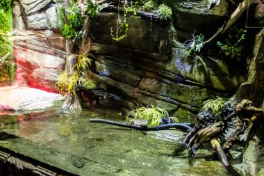 Seville, Spain - August 13, 2022 Modern aquarium of Seville with a wide variety of marine species, touch tanks and a bull shark tunnel, Aquatic life from all the Oceans of the world are found there