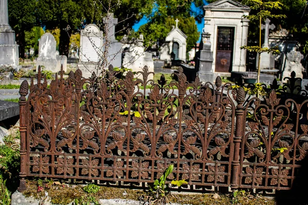 Reims Francia Septiembre 2022 Cementerio Del Norte Más Antiguo Ciudad —  Fotos de Stock