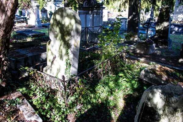 ランスのランス 2022年9月22日北墓地はランスの街で最も古い墓地です 18世紀末に建てられ 有名なランス市民の遺跡が含まれています — ストック写真