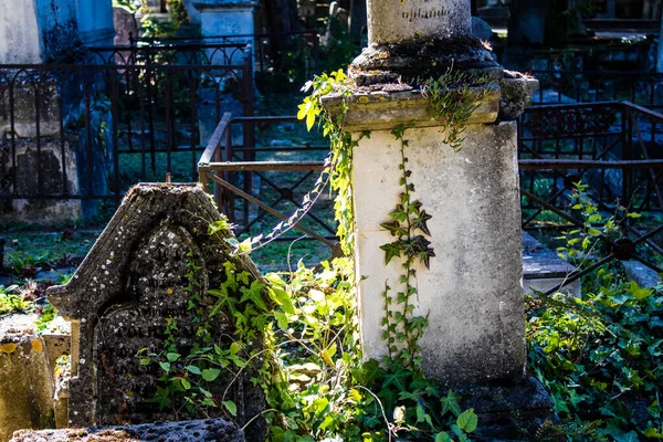 Reims Francia Septiembre 2022 Cementerio Del Norte Más Antiguo Ciudad —  Fotos de Stock