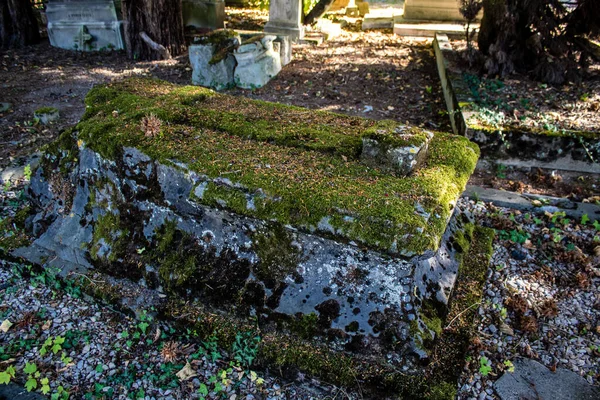 ランスのランス 2022年9月22日北墓地はランスの街で最も古い墓地です 18世紀末に建てられ 有名なランス市民の遺跡が含まれています — ストック写真