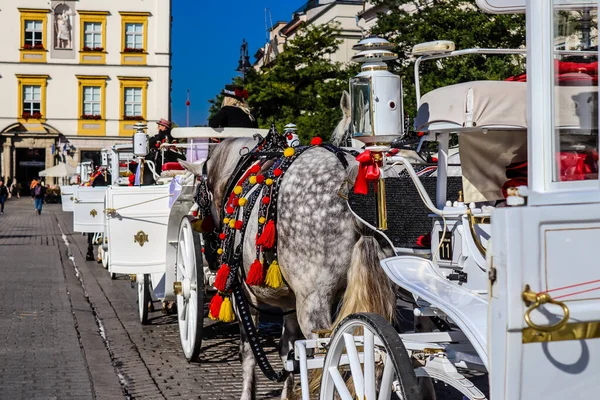 Krakow Poland October 2022 Horse Drawn Carriage Rides Have Become — Stock Photo, Image