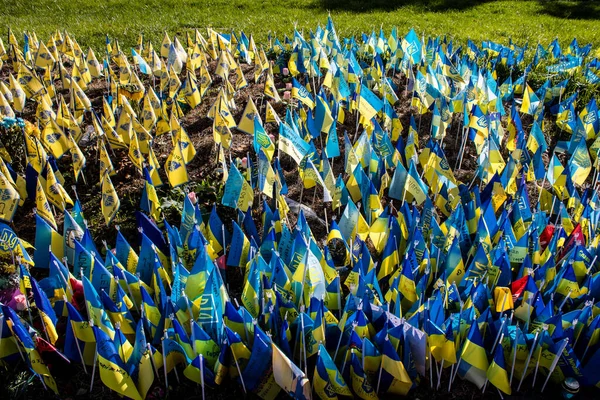 乌克兰 2022年10月12日 3名外国军团士兵在乌克兰向其中一名阵亡士兵致敬 在基洛夫的主广场上插了一面印有阵亡士兵名字的小旗 以纪念这位将士 — 图库照片