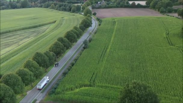 Drone Śledzić Ciężarówki Podróżuje Malowniczej Wsi Wśród Kukurydzy Pól Kukurydzy — Wideo stockowe
