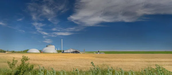 Banner Von Maisfeld Mit Landwirtschaftlicher Fabrik Hintergrund Auf Dem Land — Stockfoto