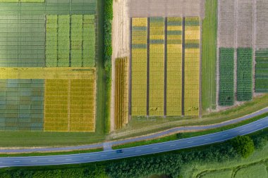 Deneysel istasyon tarafından tarımsal alanlarla birlikte kırsal arazinin soyut hava görüntüsü.