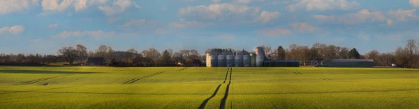 Landschaft Mit Einer Grünen Wiese Und Einem Landwirtschaftlichen Silo Und — Stockfoto