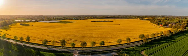 Panorama View Countryside Yellow Flowering Rapeseed Field Biogas Plant Growth — Stock fotografie
