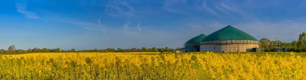 Panorama View Countryside Biogas Plant Yellow Flowering Rapeseed Field Agricultural — Stock fotografie