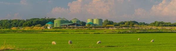 Panorama View Countryside Grazing Sheeps Biogas Plant Sheeps Grazing Grass — Stockfoto