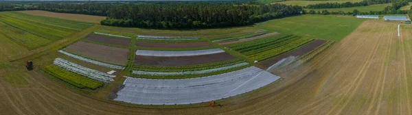 Panorama Aerial View Open Tunnel Rows Vegetables Plantation Irrigation Water — Stockfoto