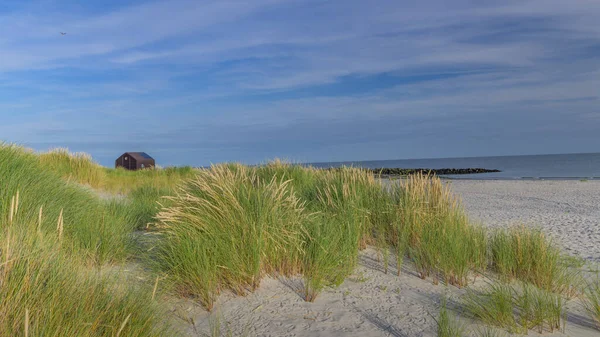 Tiny house on the seashore among sand and dunes.Cosy house in dunes at the seaside. Little house, made out of cardboard for vacation on seaside.Tiny houses on the island Dune near island Helgoland.