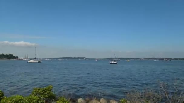 Průvod Plachetnic Během Týdne Kiel Kiel Fjord Šlesvicko Holštýnsko Německo — Stock video