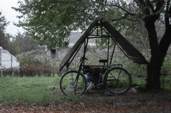 Velha Bicicleta Vintage Enferrujada Perto Uma Árvore — Fotografia de Stock