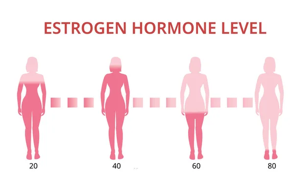 Ösztrogén Hormon Szint Diagram Menopauza Infografikus Vektor — Stock Vector