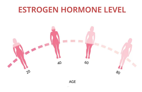 Graf Hladin Estrogenového Hormonu Menopauza Infografický Vektor — Stockový vektor