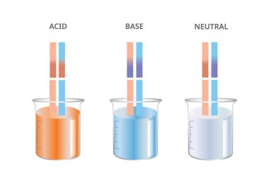Litmus testi, Asit, Taban, Nötr Ph kağıdı testi. Vektör İllüstrasyonu