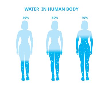 İnsan vücudunda su. Kadın, farklılık yüzdesi. Vektör İllüstrasyonu
