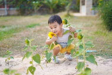 Asyalı küçük çocuk kendi yetiştirdiği güneş çiçeğini kucaklıyor.