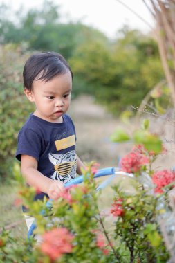Asyalı çocuk kendi yetiştirdiği çiçeği suluyor.