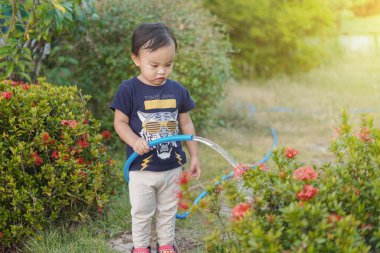 Asyalı çocuk kendi yetiştirdiği çiçeği suluyor.