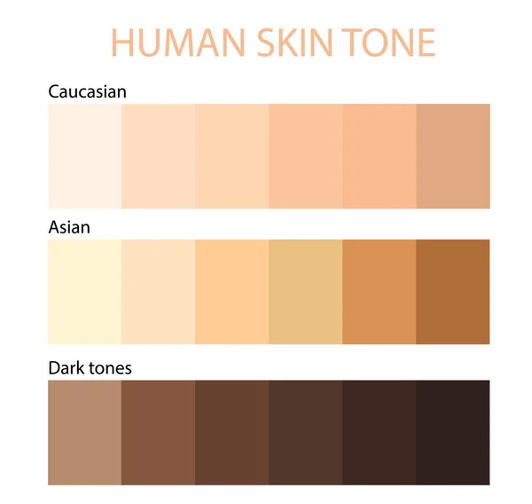 Human Skin Tone Color Race Infographic — 스톡 벡터