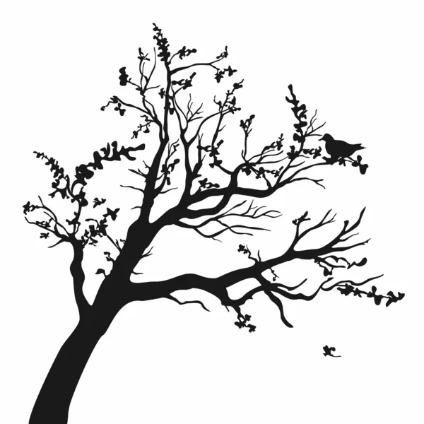 Siluetas de árbol. — Vector de stock